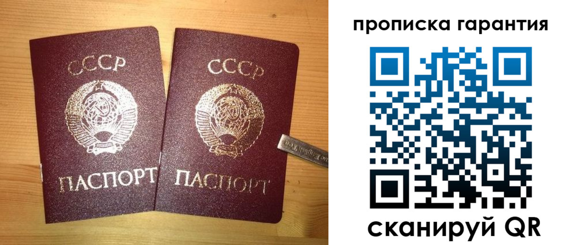 прописка поиск в Пушкино